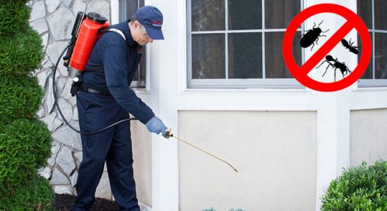 Çekerek Dezenfeksiyon böcek ilaçlama ve haşere kontrolü — ilaclama-tr.com